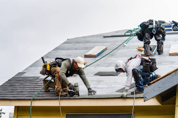 Professional Gutter Installation technician working in Lapeer, MI
